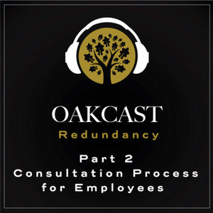 Redundancy (Part 2): Process For Employees - Employment Law