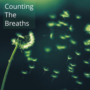 The Counting the Breaths Meditation