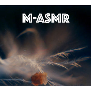 ASMR - Focused Work Environment ✍