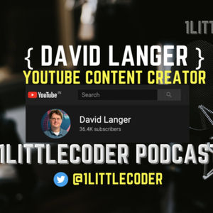 #8 Niche, Growth, Monetization - David Langer - YouTuber Dave on Data