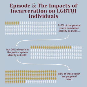 5. The Impacts of Incarceration on LGBTQI Individuals