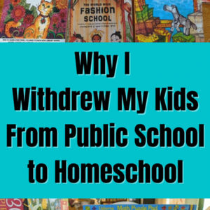 Why I Took My Kids Out Of Public School System & Home School