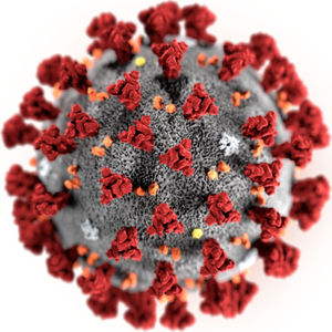 Aktualizacja na temat koronawirusa SARS-CoV-2 (dawniej 2019-nCoV) - Zakłócenia Częstotliwości #2,5