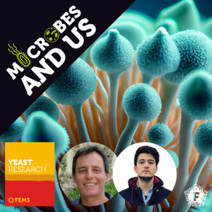 Episode 26 | Article Award Winner, FEMS Yeast Research: Metabolic Reconstruction of Candida auris