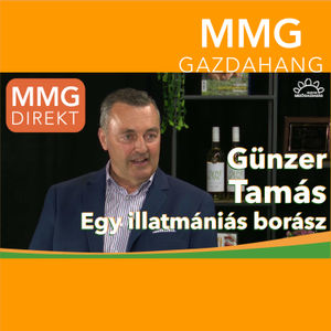 Günzer Tamás: egy illatmániás borász | 2023-es Év Bortermelőjével beszélgettünk (133)