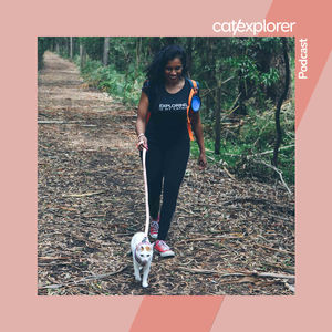 Helping your cat react to strangers while catexploring, travelling in the car, watersports and more with Katrina & Luna