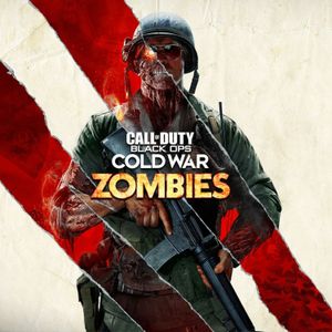 The Rise And Fall Of CoD Zombies