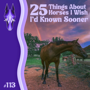 113. 25 Things About Horses I Wish I'd Known Sooner