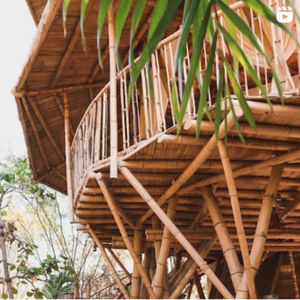Ep. 358 The Bamboo House | Casa de la Tierra with Laura & Gonzalo