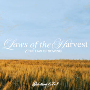 Laws Of The Harvest Part 1: The Law Of Sowing