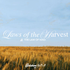 Laws Of The Harvest Pt. 2 The Law Of Kind