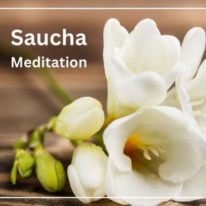 Ep. 89: Saucha Meditation: Cleanliness to create Clarity to be PURELY You: Yoga Niyamas for Relationship to SELF