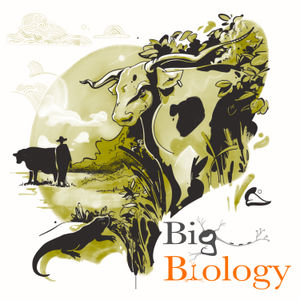 Rewilding biology (Ep 116)