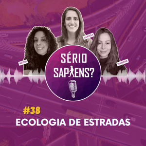 #38 Ecologia de Estradas
