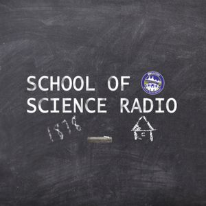 SOS Radio Episode 118 - Everton: From Bad To Worse