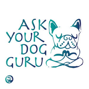 Big Changes to Ask Your Dog Guru