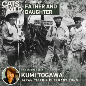Father and Daughter: Kumi Togawa, Japan Tiger and Elephant Fund
