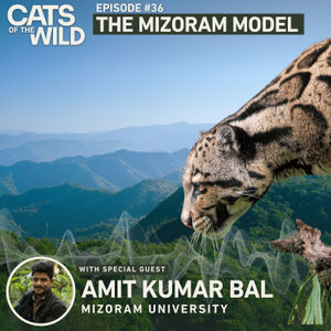 The Mizoram Model: Amit Kumar Bal