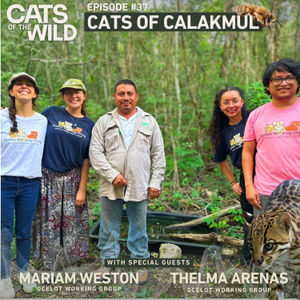 Cats of Calakmul: Mariam Weston & Thelma Arenas, Ocelot Working Group