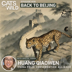 Back to Beijing: Huang Qiaowen, China Felid Conservation Alliance