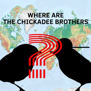 Where Are the Chickadee Brothers?