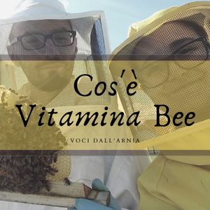 Cos'è Vitamina Bee