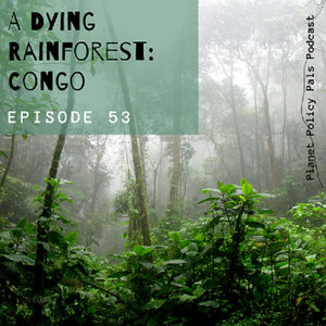 EP 53: A Dying Rainforest- Congo
