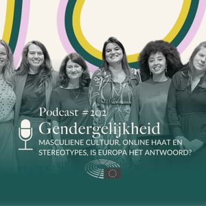 Masculiene cultuur, online haat en stereotypes, is Europa het antwoord? | Caroline Glasbergen #202