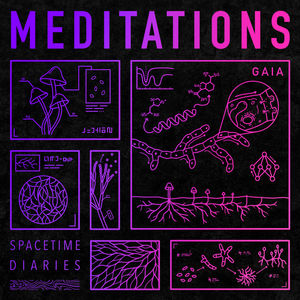 Meditations - Gaia (feat David Scott Russell)