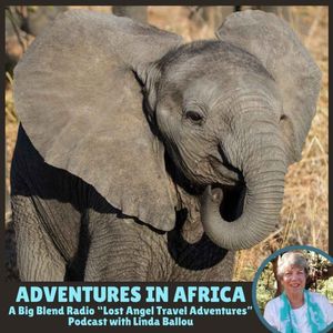 Linda Ballou - Adventures in Africa