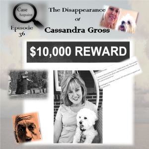 The Disappearance of Cassandra Gross