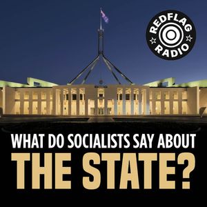 What do socialists say about the state?