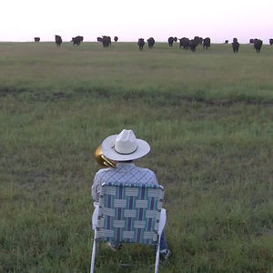 673. Serenading the cattle with a trombone - BestofYouTube.com
