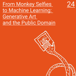 From Monkey Selfies to Machine Learning: Generative Art and the Public Domain