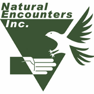Steve Martin President Natural Encounters part three