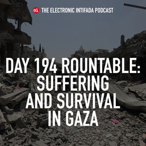 Day 194 roundtable: Suffering and survival in Gaza 