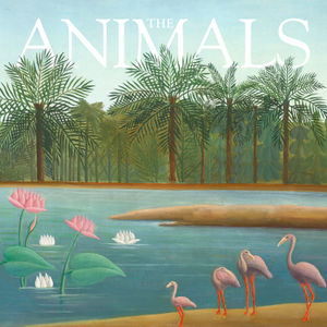 The Animals: Harry, Flamingo