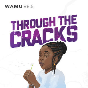 
        In the season finale of Through The Cracks: What’s changed since Relisha disappeared in 2014? And has the city done enough to prevent more Relishas?

Help shape our second season by filling out our survey: <a href="https://iter.ly/21ga1" target="_blank">https://iter.ly/21ga1</a>

View photos of Relisha’s 2021 anniversary event at <a href="http://wamu.org/throughthecracks" target="_blank">wamu.org/throughthecracks</a>.

To support the investigative reporting that goes into Through The Cracks, donate at <a href="http://wamu.org/supportthroughthecracks" target="_blank">wamu.org/supportthroughthecracks</a>.
      