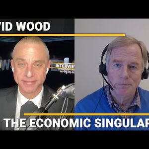 David Wood - The Economic Singularity