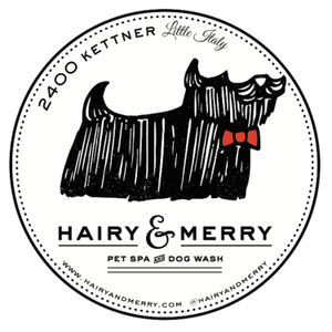Hairy & Merry Podcast #2 - Pet Portrait Stories with Allison Shamrell
