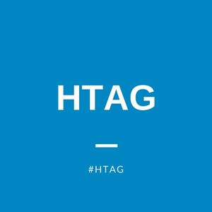 HTAG Sobering Center Round Table