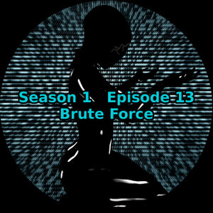 S01 E13 Brute Force