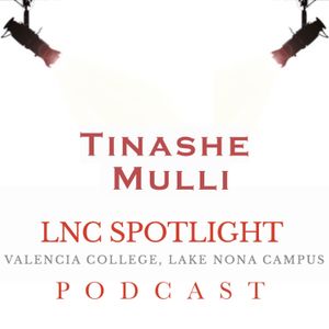Episode 4: Tinashe Mulli - On His Art