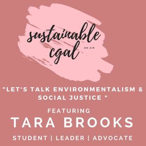 Let's Talk Environmentalism and Social Justice