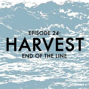 EPISODE 24: Harvest
