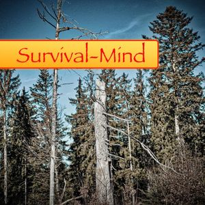 Folge 003 - Survival-Mind - 6 Tips um Panik vorzubeugen