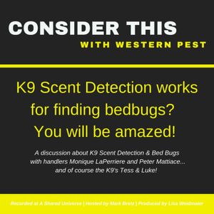 K9 Scent Detection - Does it really work?
