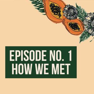 Episode 1 - How We Met