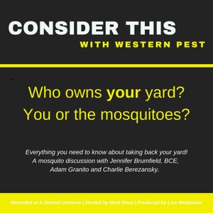 Who owns your yard?  You or the mosquitoes?