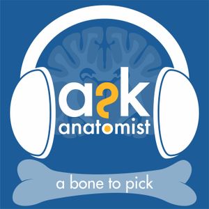 Episode 4 - AB2P - Musculoskeletal Health and Exercise (Lynda Bonewald)